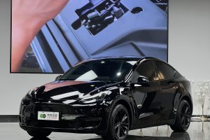 Model Y 特斯拉 改款 Performance高性能全轮驱动版