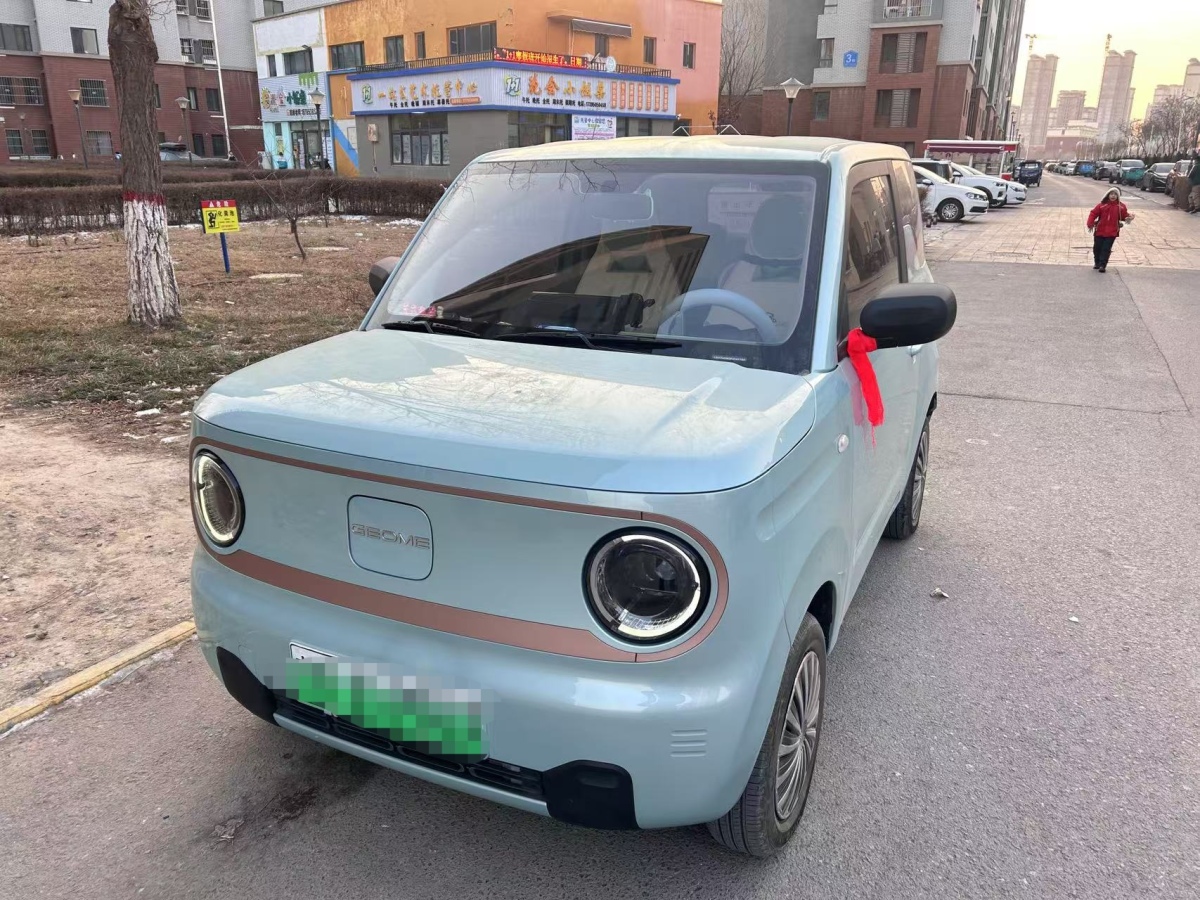 吉利 熊貓mini  2023款 200km 耐力熊圖片