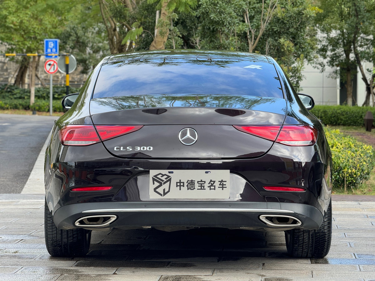 奔馳 奔馳CLS級(jí)  2023款 改款 CLS 300 動(dòng)感型圖片