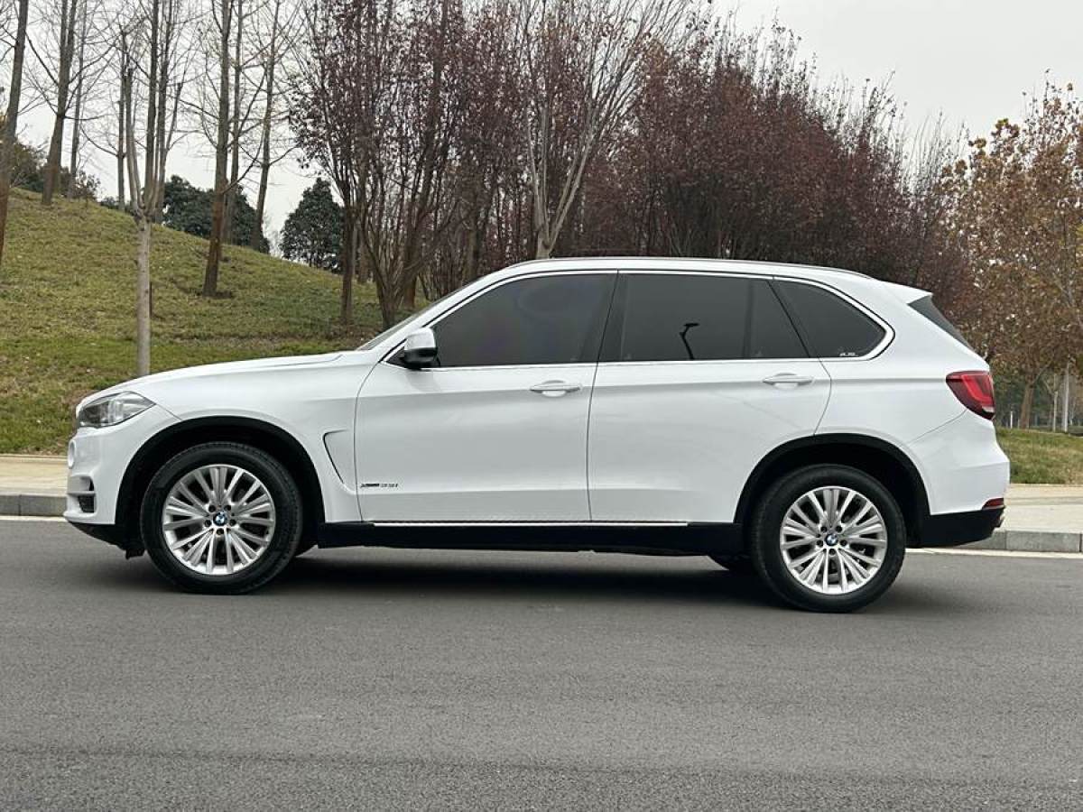 寶馬 寶馬X5  2014款 xDrive35i 領(lǐng)先型圖片