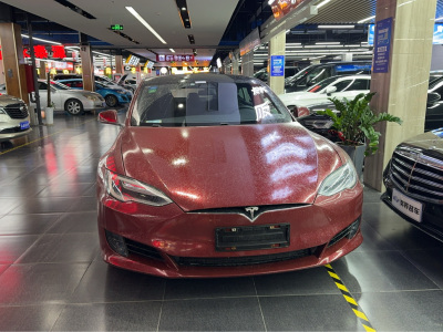 2017年6月 特斯拉 Model S Model S 75图片