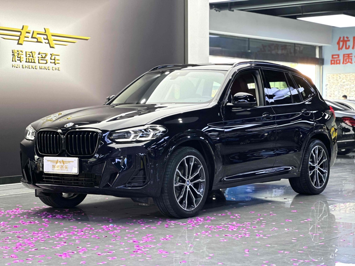 2023年3月寶馬 寶馬X3  2023款 xDrive30i 領(lǐng)先型 M曜夜套裝