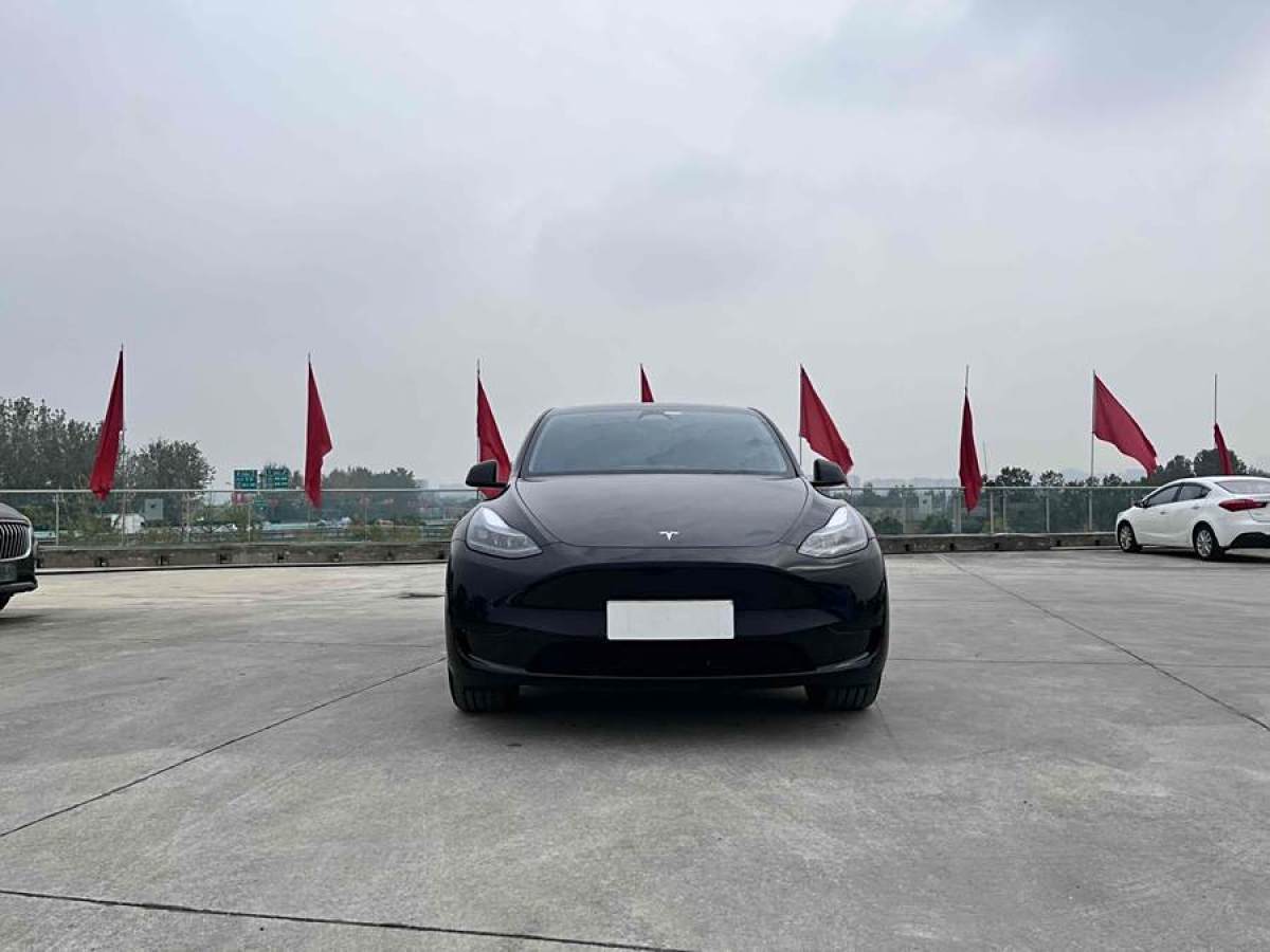 特斯拉 Model Y  2020款 改款 長續(xù)航后輪驅(qū)動版圖片