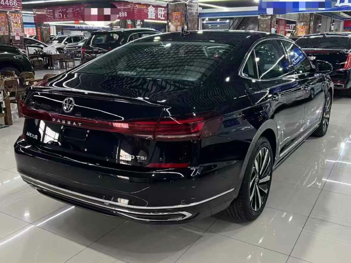 大眾 帕薩特  2024款 380TSI 豪華版圖片