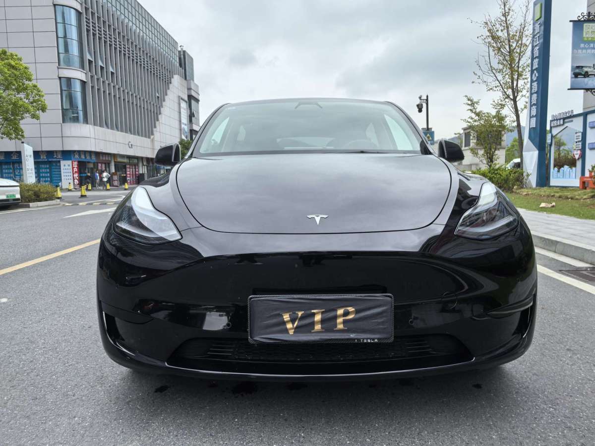 特斯拉 Model Y  2021款 改款 標(biāo)準(zhǔn)續(xù)航后驅(qū)升級(jí)版圖片