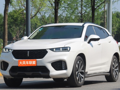 2019年1月 WEY VV7 2.0T 超豪型图片