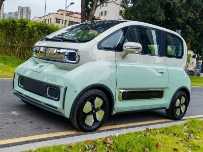 2024年10月 宝骏 宝骏KiWi EV 大疆版 磷酸铁锂图片