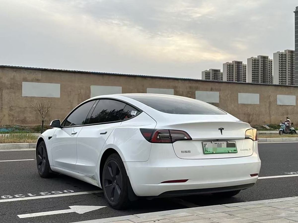 特斯拉 Model 3  2021款 標(biāo)準(zhǔn)續(xù)航后驅(qū)升級(jí)版 3D6圖片