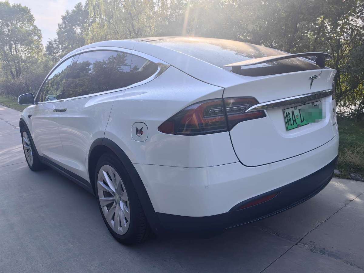 特斯拉 Model X  2021款 長(zhǎng)續(xù)航升級(jí)版圖片