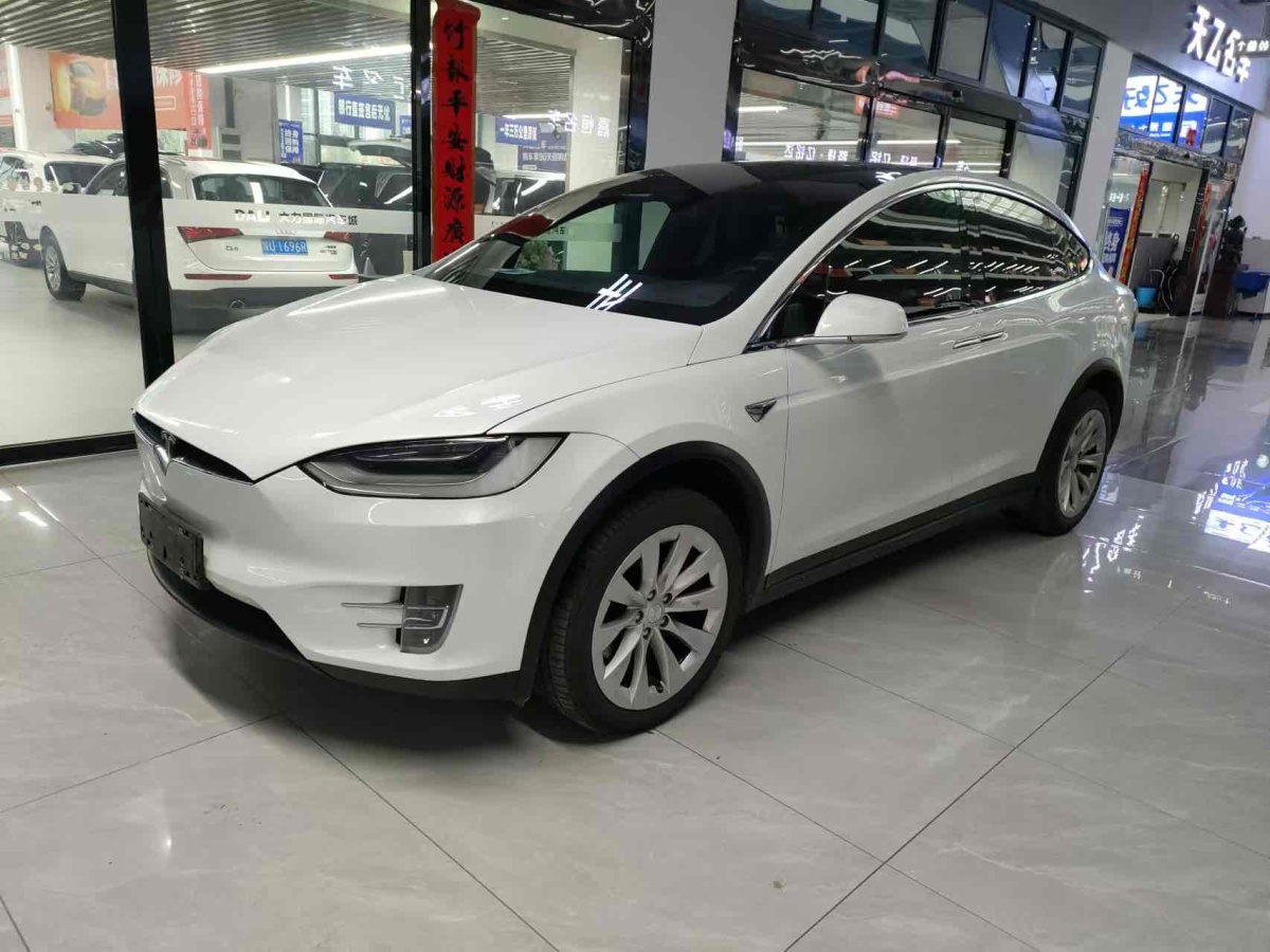 特斯拉 Model X  2019款 長續(xù)航版圖片