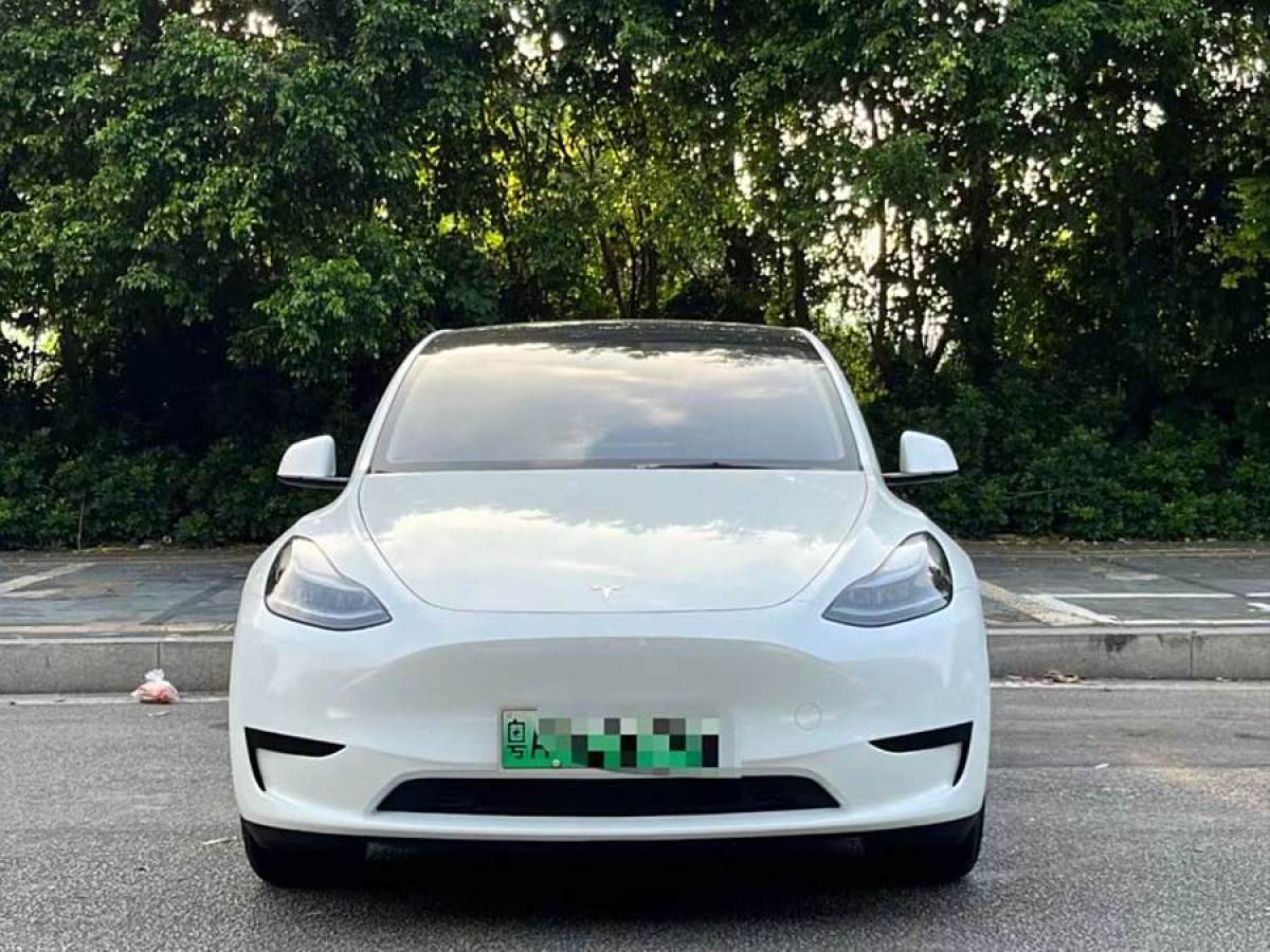 特斯拉 Model Y  2020款 改款 長(zhǎng)續(xù)航后輪驅(qū)動(dòng)版圖片