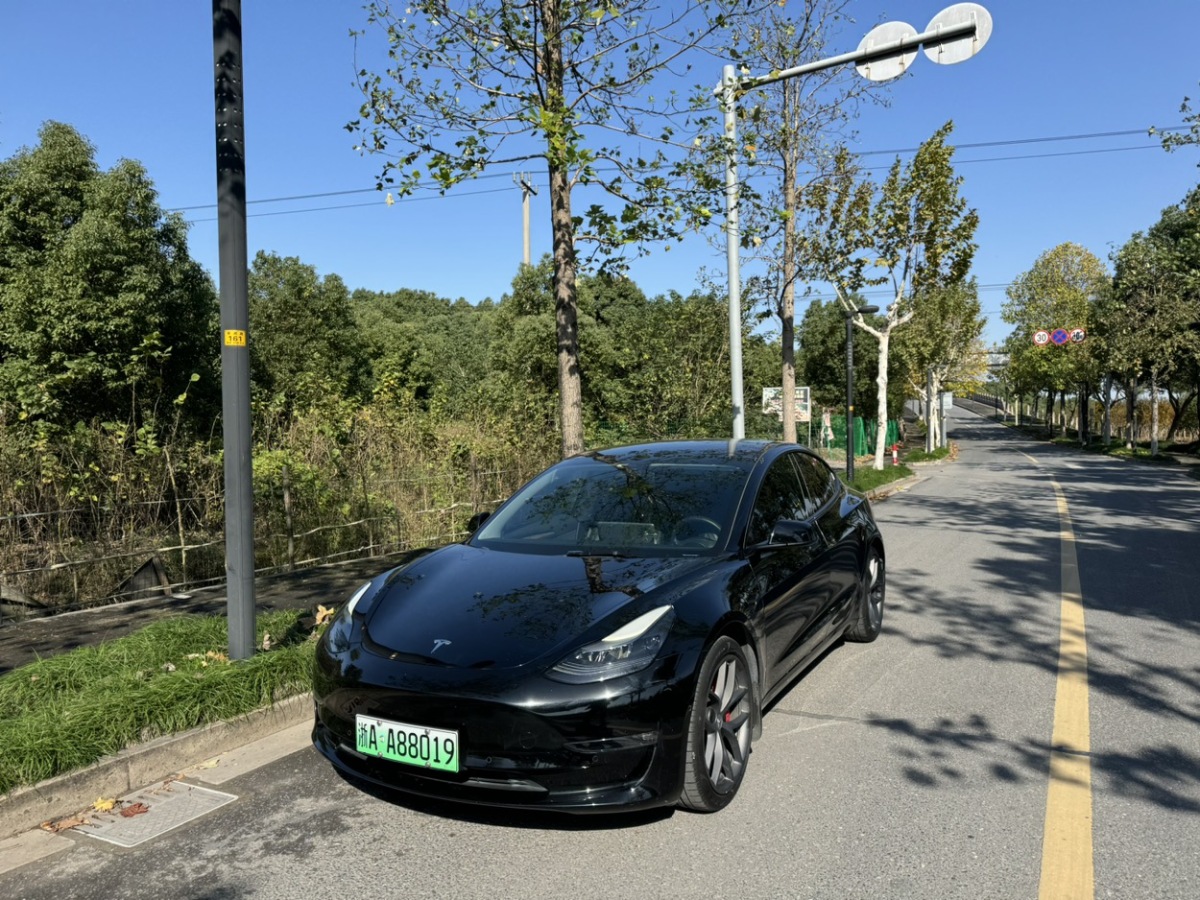 特斯拉 Model Y  2021款 Performance高性能全輪驅(qū)動(dòng)版圖片