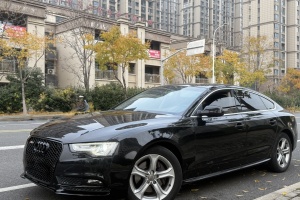 奥迪A5 奥迪 Sportback 45 TFSI