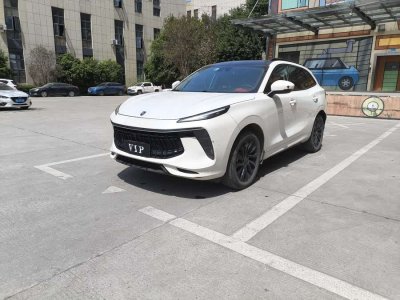 2021年4月 東風(fēng)風(fēng)行 風(fēng)行T5 EVO 1.5TD DCT鉆石版圖片