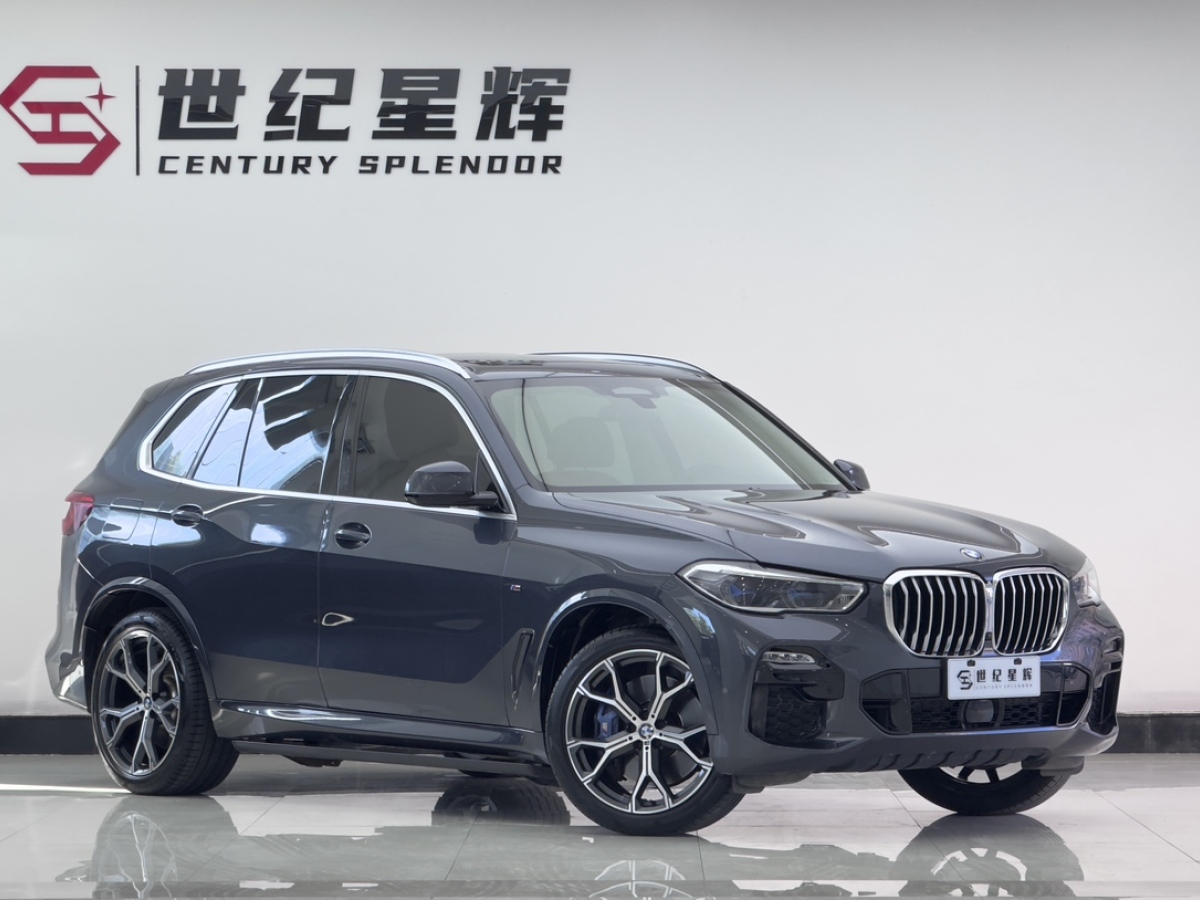 寶馬 寶馬X5  2019款 xDrive40i 尊享型 M運動套裝圖片