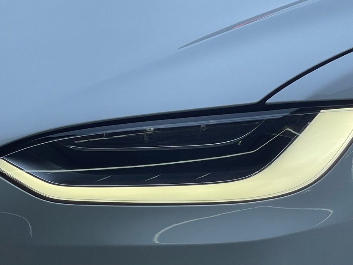 2019年11月特斯拉 Model X  2019款 Performance 高性能版