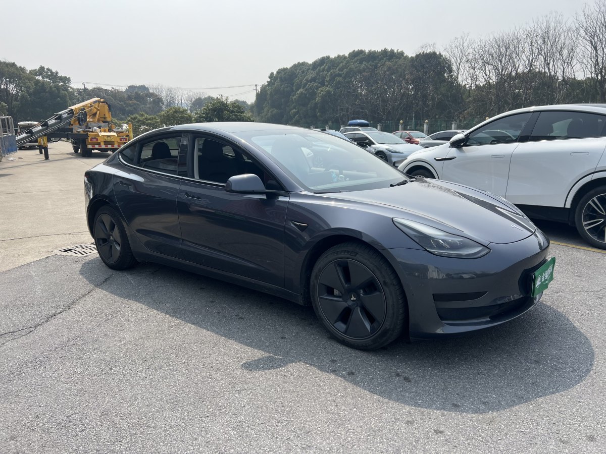 特斯拉 Model 3  2019款 標準續(xù)航后驅升級版圖片