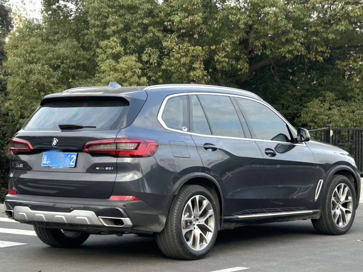 寶馬 寶馬X5  2019款 xDrive30i X設(shè)計(jì)套裝圖片