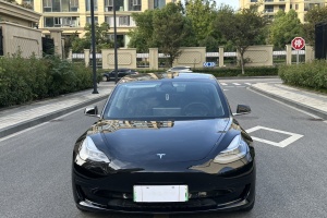 Model 3 特斯拉 标准续航后驱升级版