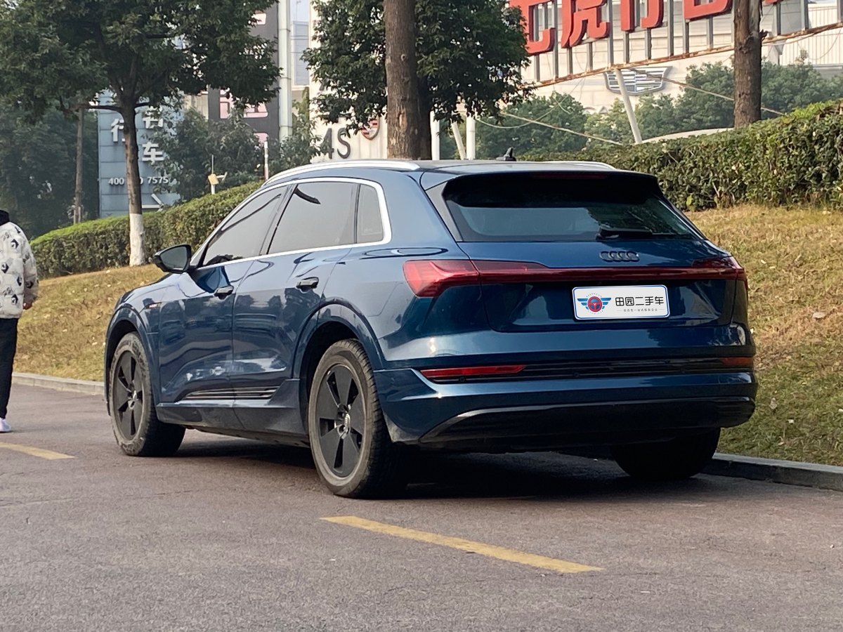 2020年10月奧迪 奧迪Q7新能源  2019款 55 e-tron