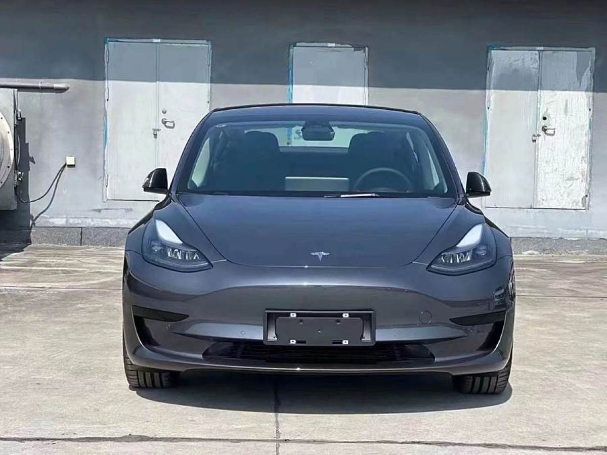 2021年11月特斯拉 Model 3  2022款 改款 后輪驅(qū)動(dòng)版