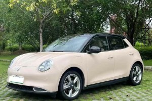 歐拉好貓 歐拉 400km標(biāo)準(zhǔn)續(xù)航 公務(wù)版 磷酸鐵鋰