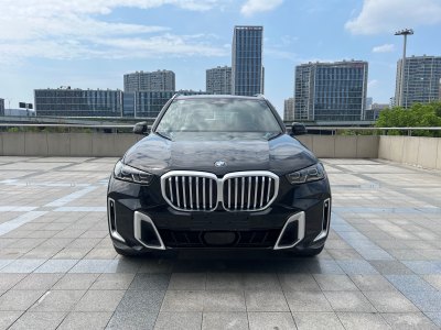 2024年8月 寶馬 寶馬X5 xDrive 40Li M運(yùn)動(dòng)套裝圖片