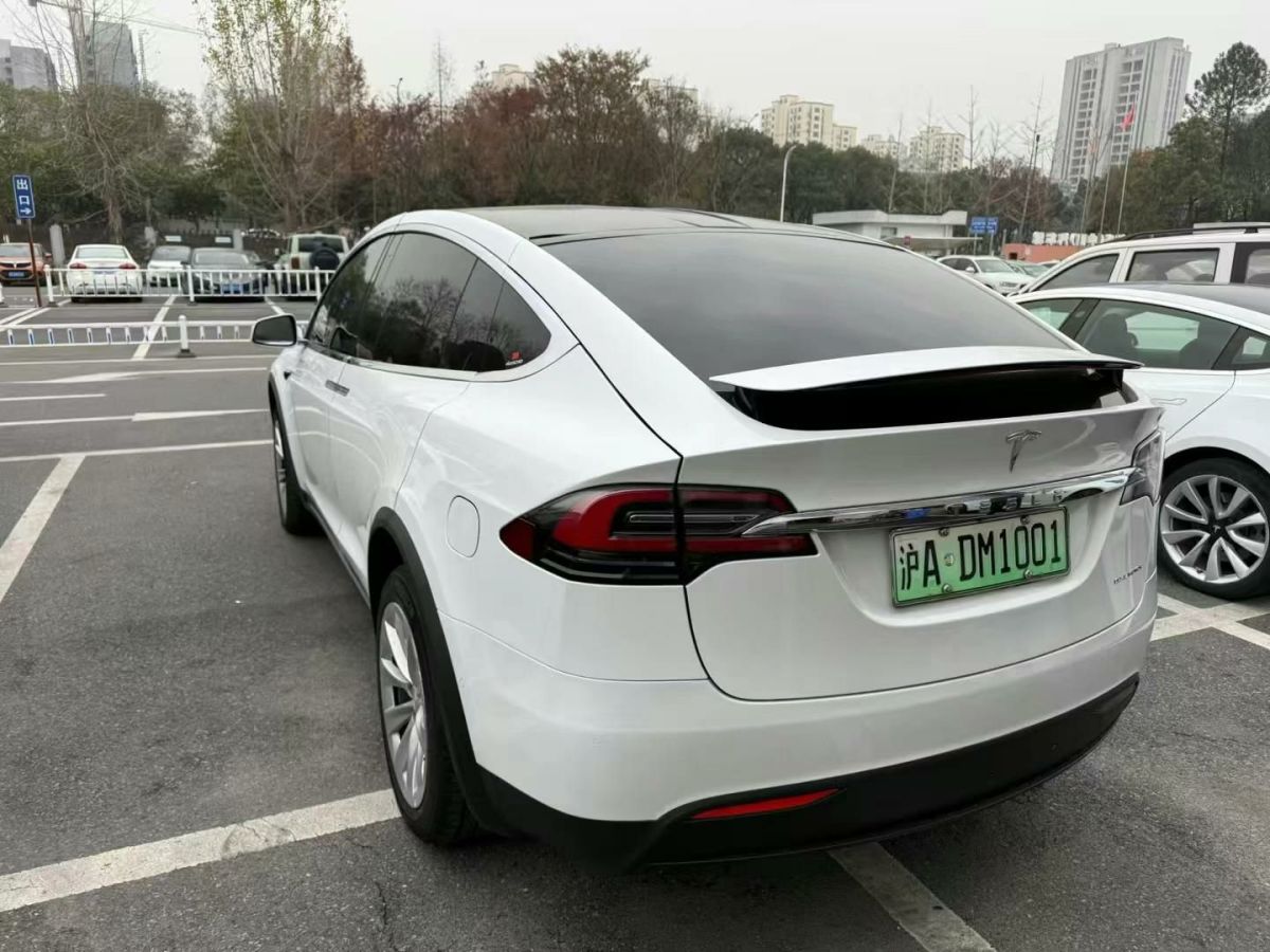 特斯拉 Model X  2020款 Performance 高性能版圖片