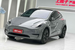 Model Y 特斯拉 后轮驱动版