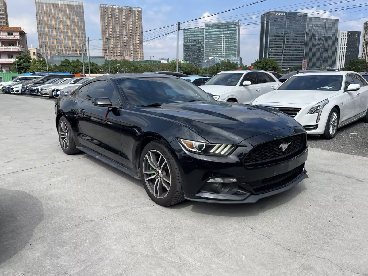 福特 Mustang  2015款 2.3T 運動版圖片