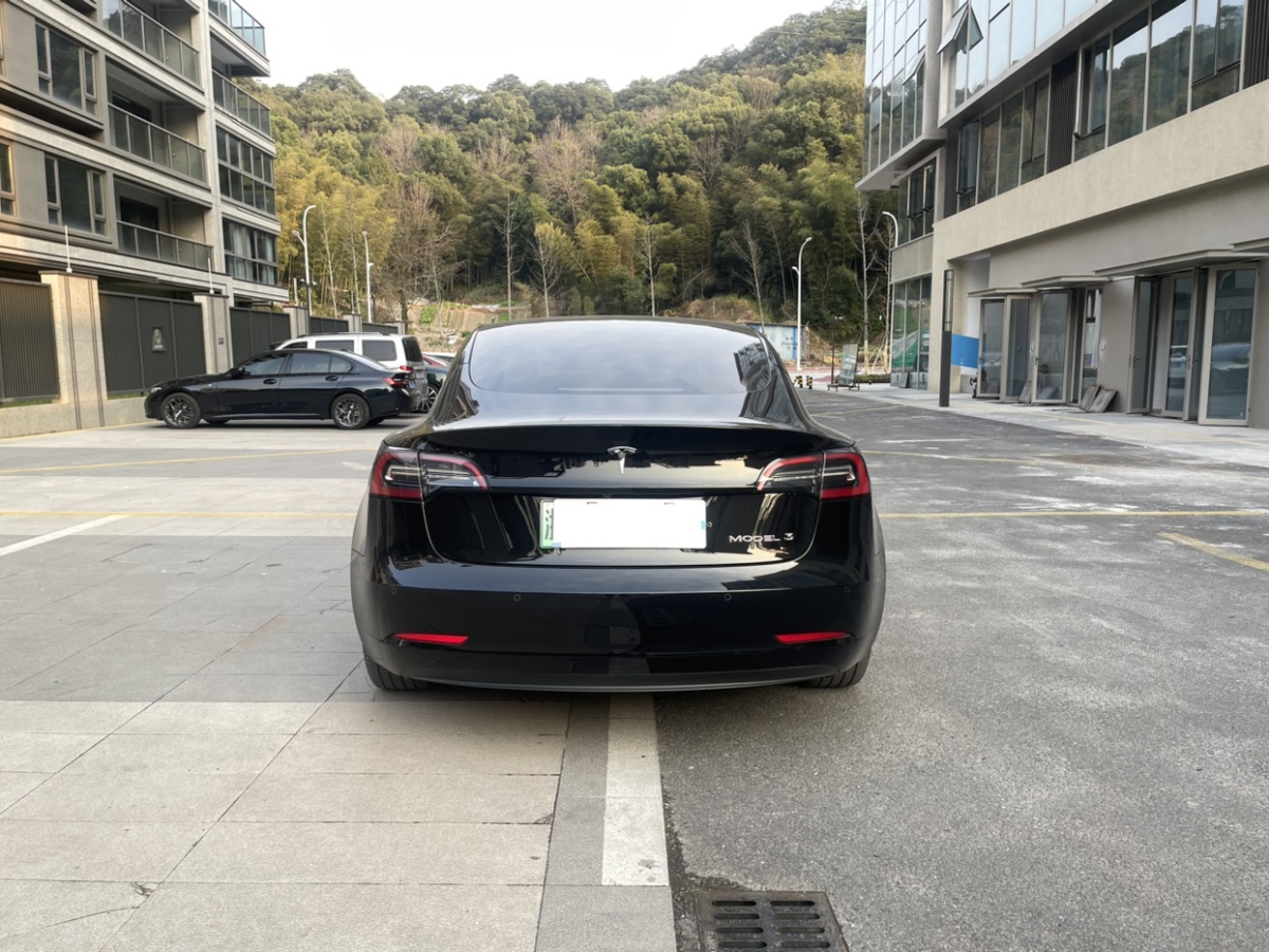 特斯拉 Model 3  2019款 標(biāo)準(zhǔn)續(xù)航后驅(qū)升級(jí)版圖片