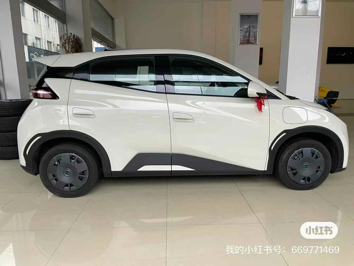 比亞迪 宋L DM-i  2024款 112km 超越型圖片