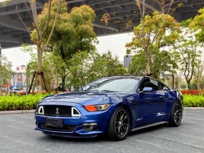 2015年10月 福特 Mustang(進(jìn)口) 2.3T 性能版圖片