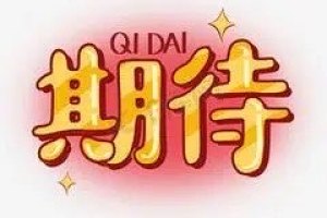 GS8 廣汽傳祺 領航系列 2.0TGDI 兩驅豪華智聯版（七座）