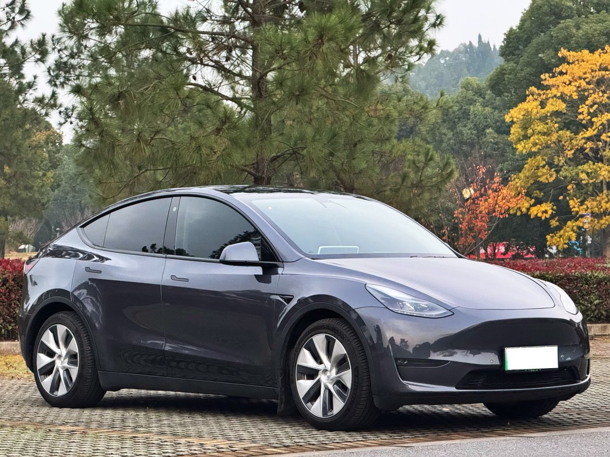 特斯拉 Model 3  2023款 長續(xù)航煥新版 雙電機全輪驅(qū)動圖片