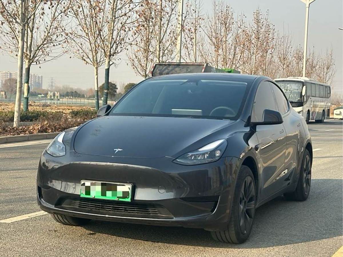 特斯拉 Model 3  2020款 改款 長續(xù)航后輪驅(qū)動版圖片