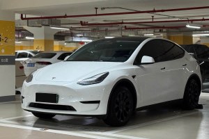 Model Y 特斯拉 后輪驅動版