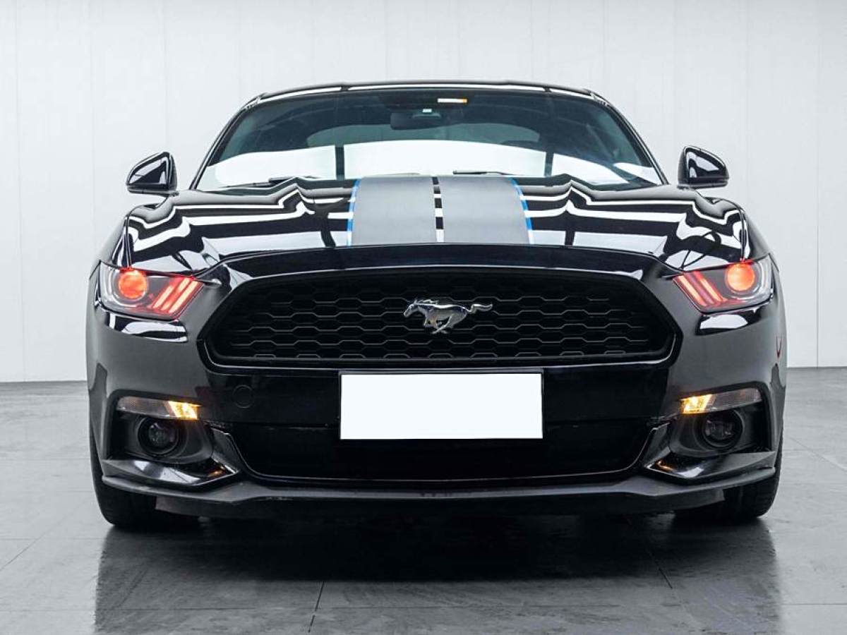 福特 Mustang  2015款 2.3T 性能版圖片