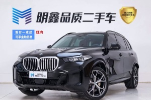 寶馬X5 寶馬 xDrive 30Li 尊享型M運(yùn)動(dòng)曜夜套裝