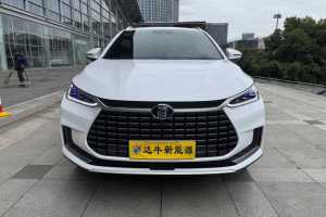 唐新能源 比亚迪 EV 四驱高性能版尊荣型