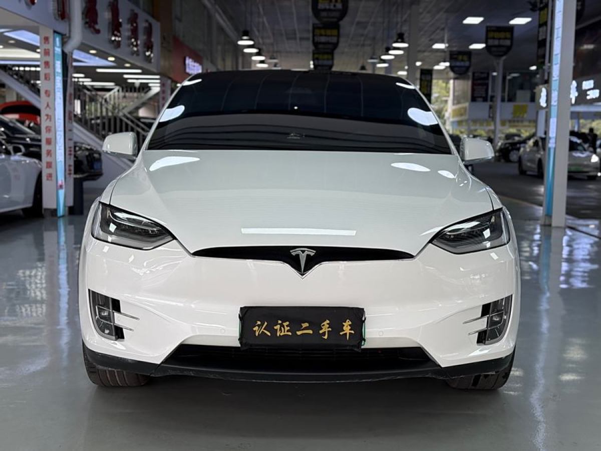 特斯拉 Model X  2019款 長續(xù)航版圖片