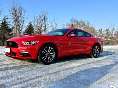 2016年7月 福特 Mustang(進(jìn)口) 2.3T 性能版圖片