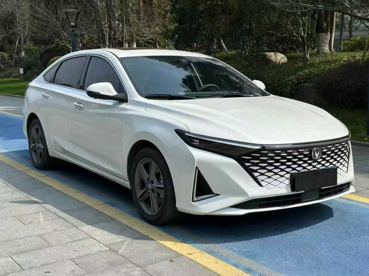 2023年1月長(zhǎng)安跨越 跨越星V7EV  2023款 250km 對(duì)開(kāi)門(mén)高配型 2座