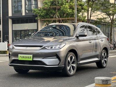 2022年11月 比亚迪 宋PLUS新能源 EV 尊贵型图片