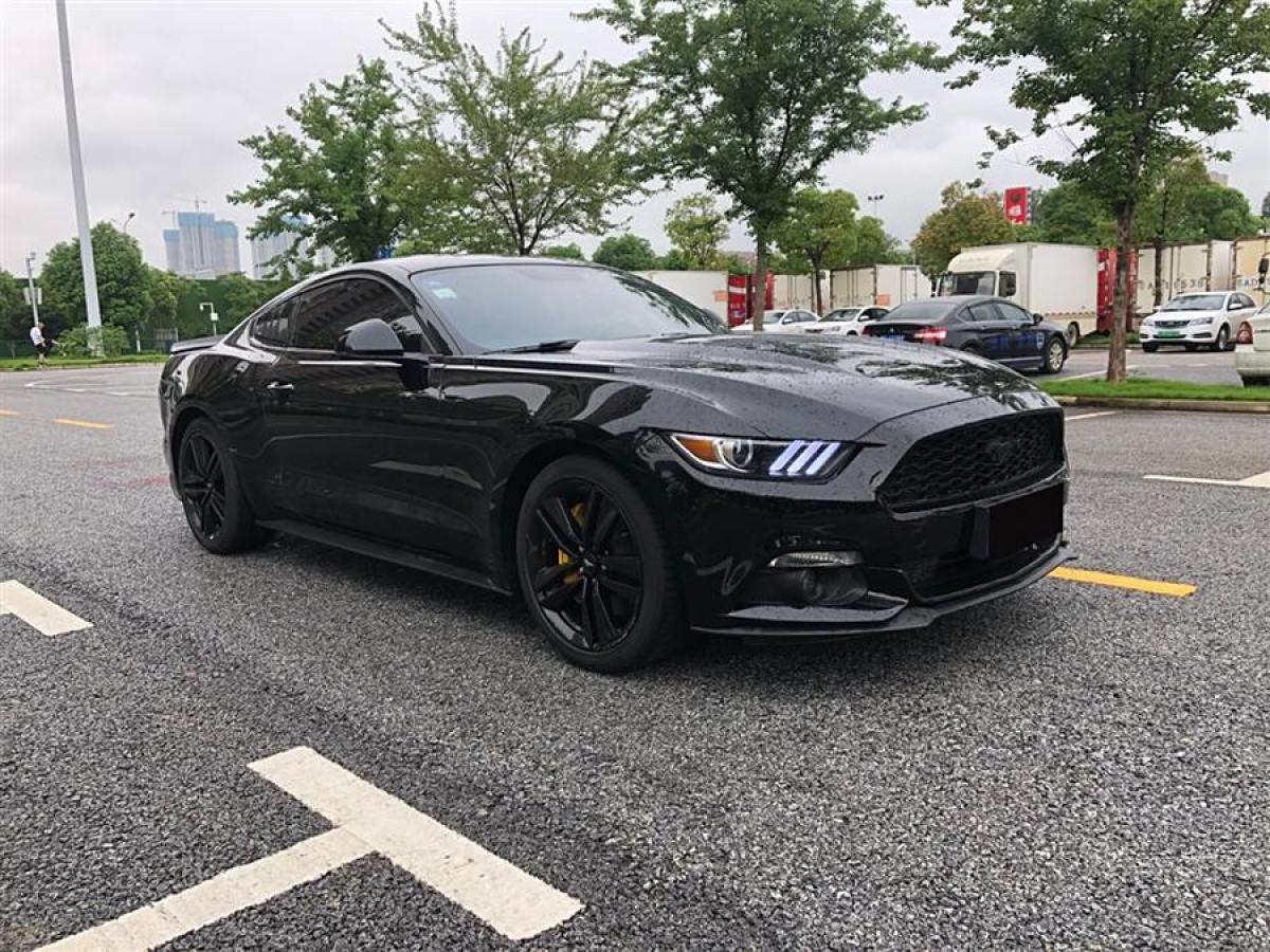 福特 Mustang  2015款 2.3T 性能版圖片