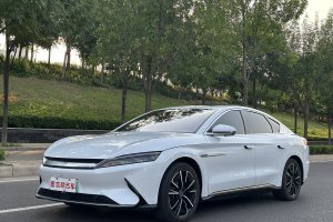 汉 比亚迪 EV 四驱高性能版旗舰型