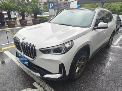 2024年1月 宝马 宝马X1 sDrive20Li X设计套装图片