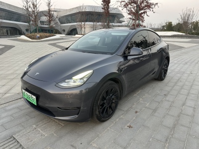 2021年02月 特斯拉 Model Y 改款 長續(xù)航全輪驅(qū)動版圖片