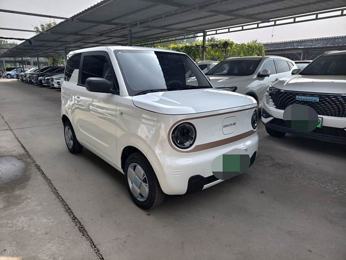 2024年9月吉利 熊貓mini  2023款 200km 耐力熊