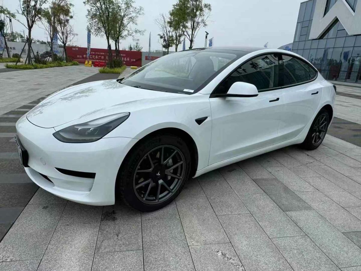 特斯拉 Model S  2021款 Performance 高性能版圖片